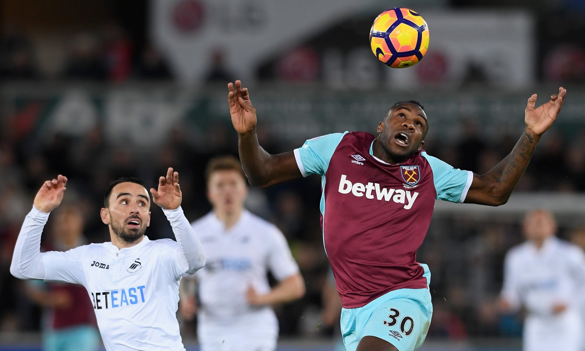 球数据表明 球数据表明